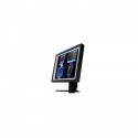 Monitoare second hand Eizo FlexScan L985EX