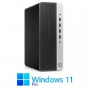 Calculatoare HP ProDesk 600 G4 SFF, Hexa Core i5-8500, 256GB SSD, Win 11 Pro